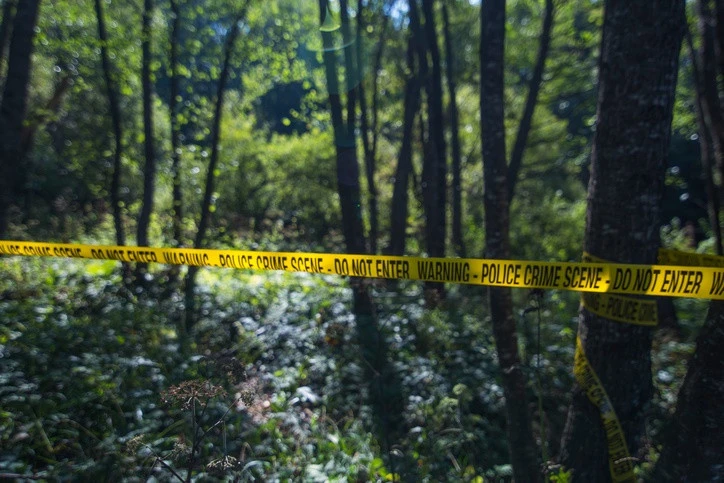 Passerby follows blood trail, finds body of stabbed woman in Eastern Cape