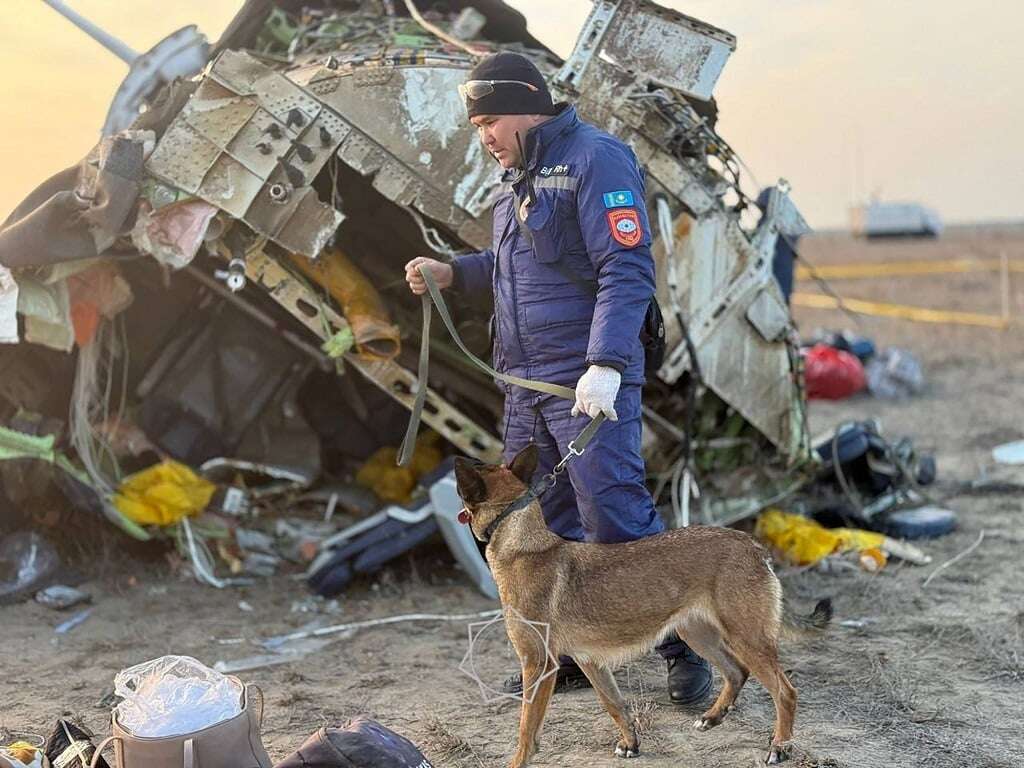 Several airlines halt flights to Russia after Azerbaijan Airlines crash