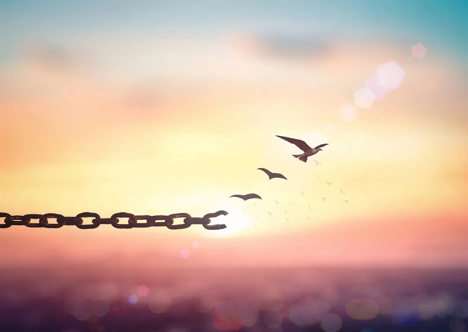 Why economic freedom is vital for SA’s future prosperity
