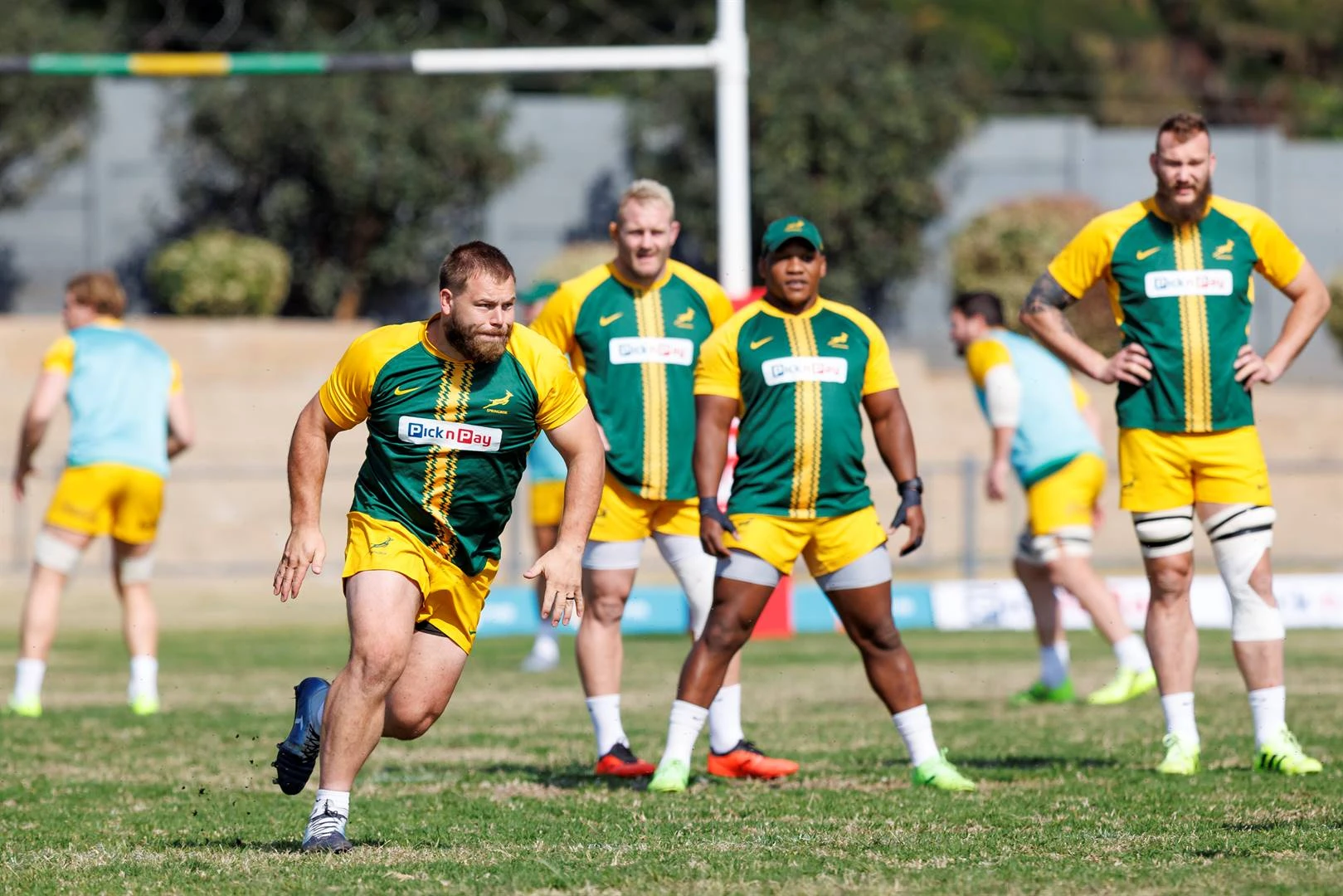 Bokke se groentjie-voorry en Wiese onder vergrootglas in Laeveld