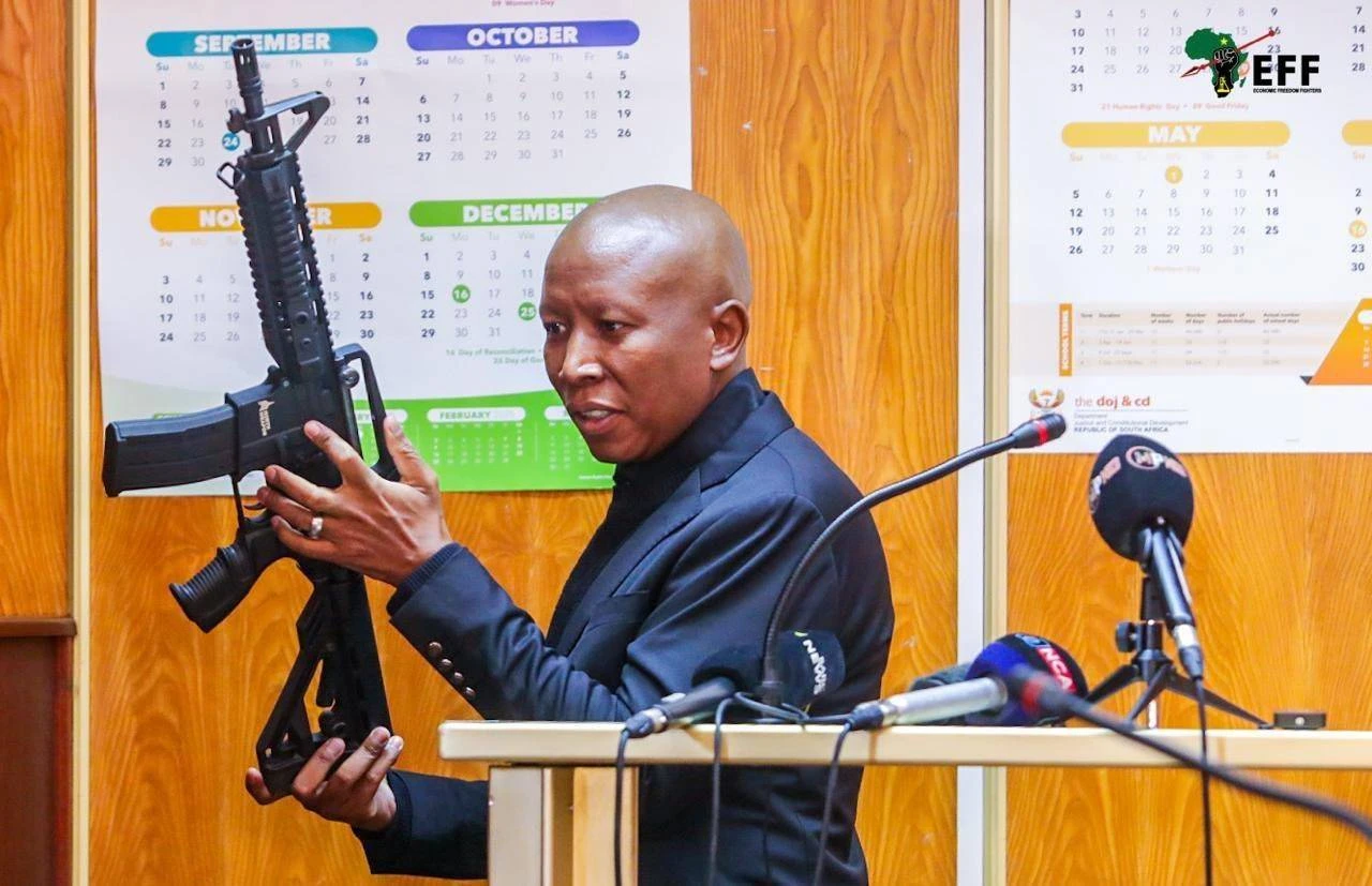 Ian Cameron, Malema in komitee wat polisiekorrupsie ondersoek