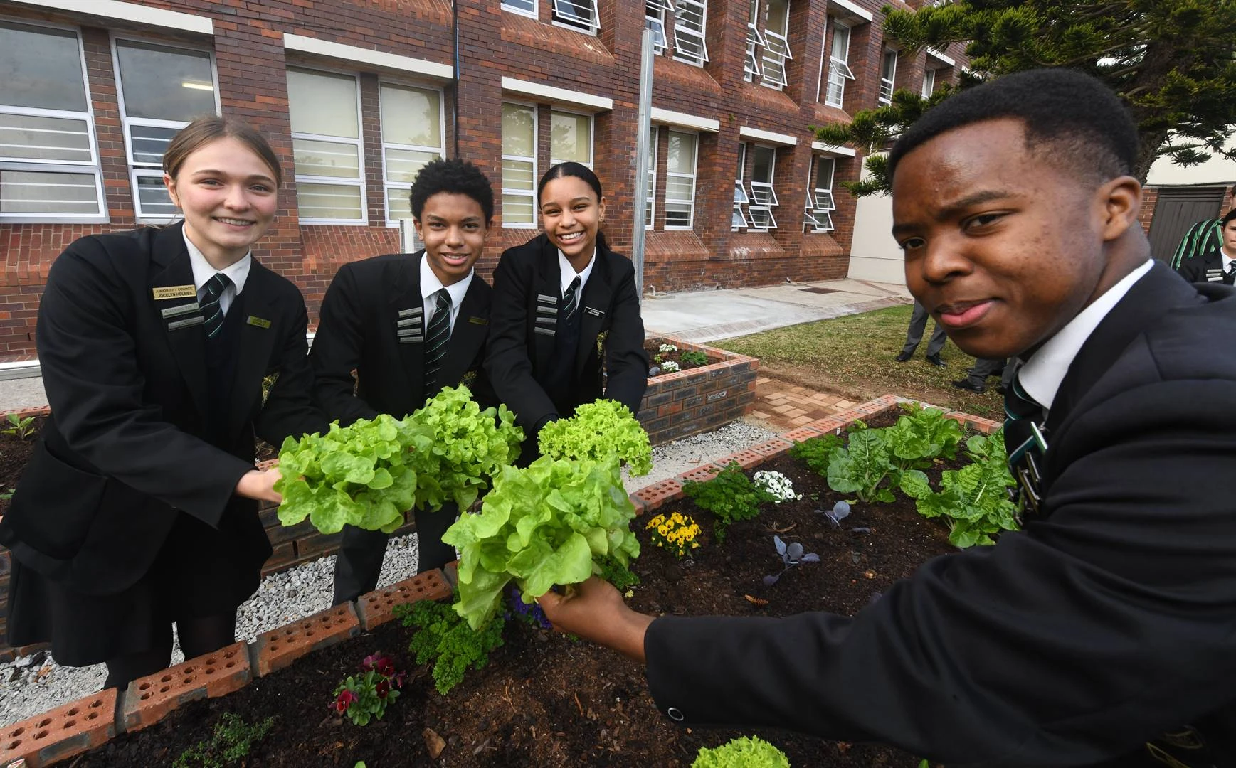 Baaise skool wys hoe: Groentetuin gefinansier met afvalpapier