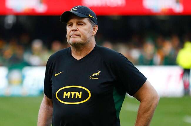 'No place for excuses' for Rassie's Boks as crunch Wallabies leg awaits