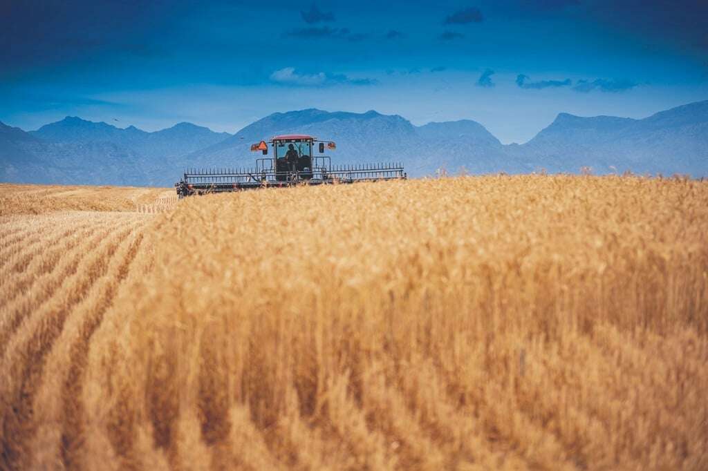 BBP: Goeie nuus oor landbou, maar die res van die ekonomie lyk droewig