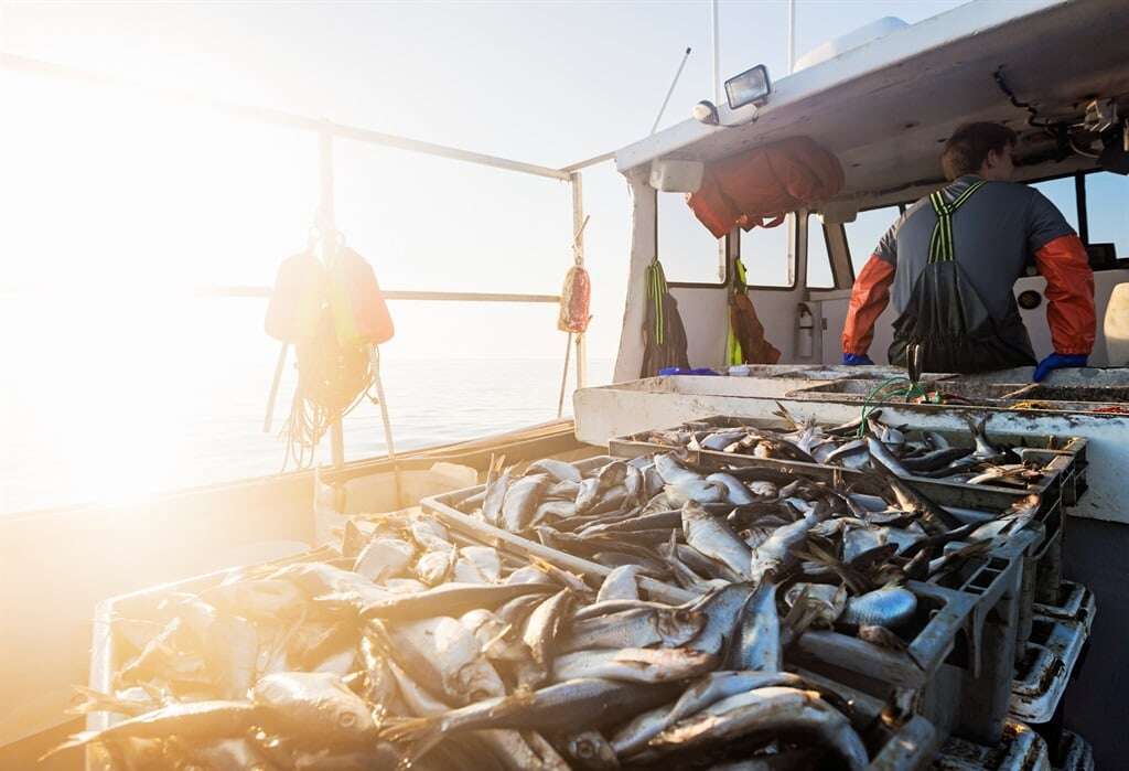 Lucky Star owner Oceana suffers horse mackerel slump in SA after vessel breakdown