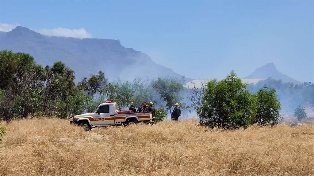 Fire season: Cape Town hopes for an 'easier ride', but prepares for 7 000 wildfires anyway