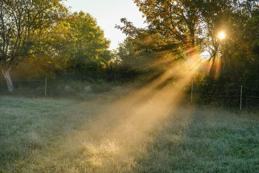 Friday's weather: Partly cloudy with fog patches, morning frost expected in several provinces