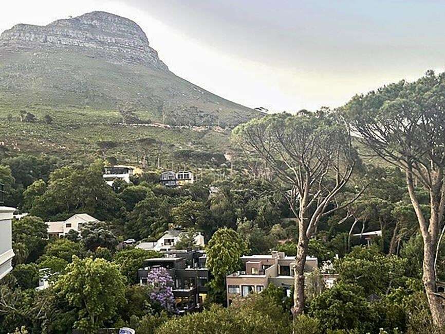 Cape Town's rich at war over felled crown pine trees