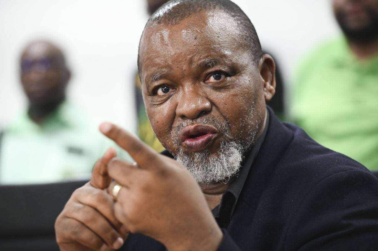 Optimism as Ramokgopa's star rises while Mantashe is 'demoted'