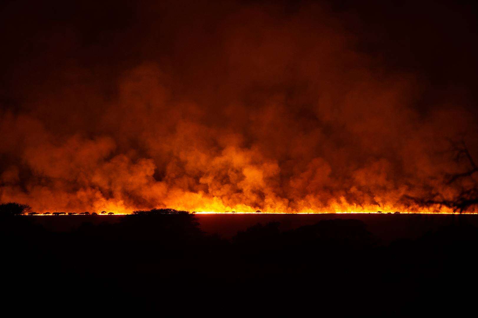 Wind met gevaar vir veldbrande vir Noord-Kaap voorspel