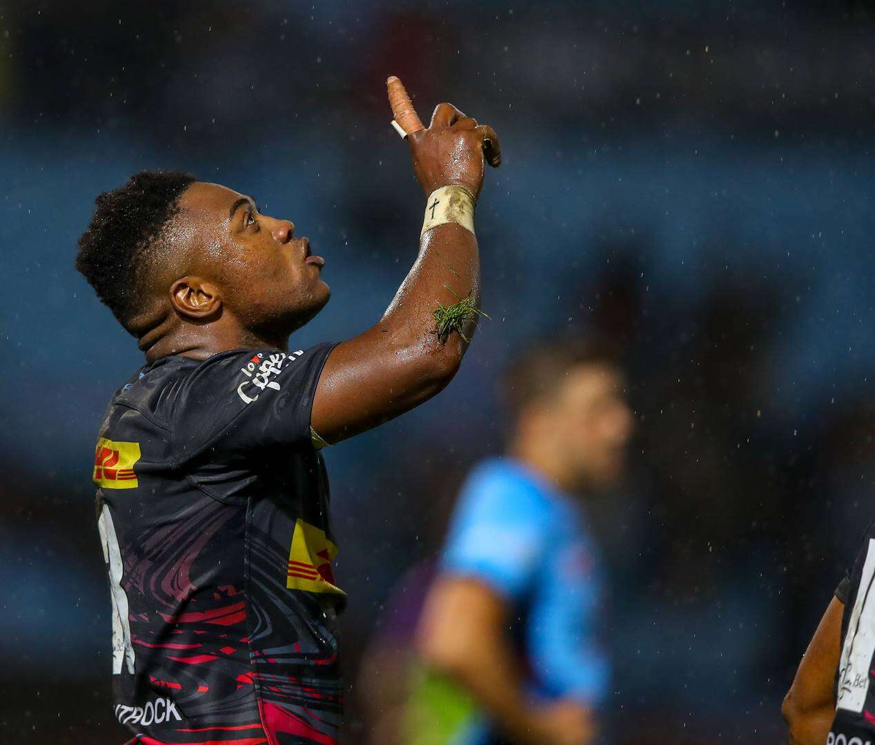 Stormers sal ‘suster soen’ as Leeus weer Saterdag met Haaie afreken