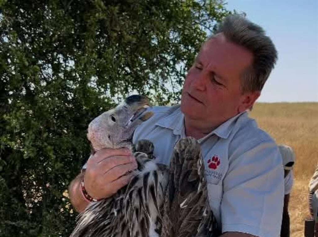 There are only 1 000 Bateleur eagles left here... and these winemakers want to help save them