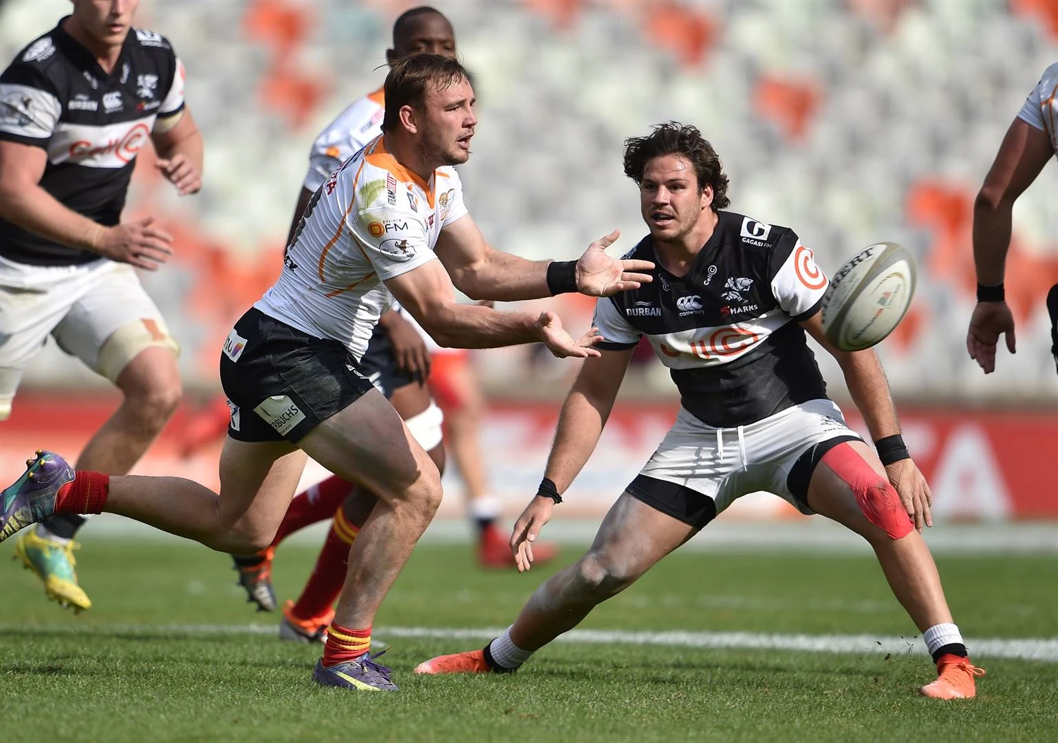 Cheetahs moet dalk weer sonder Blommetjies klaarkom