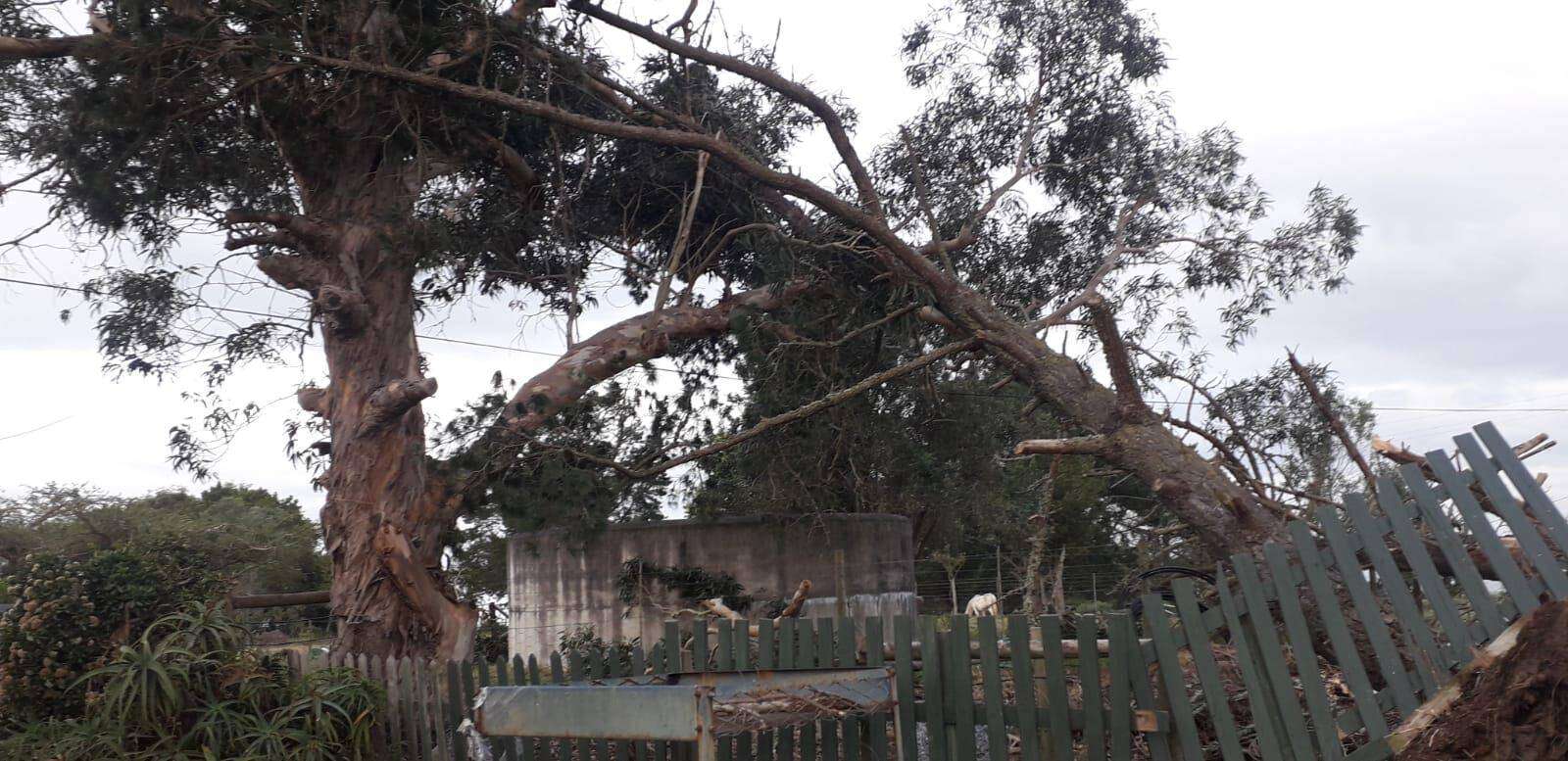 Stormsterk wind waai huise se dakke in Tuinroete af, ruk bome om