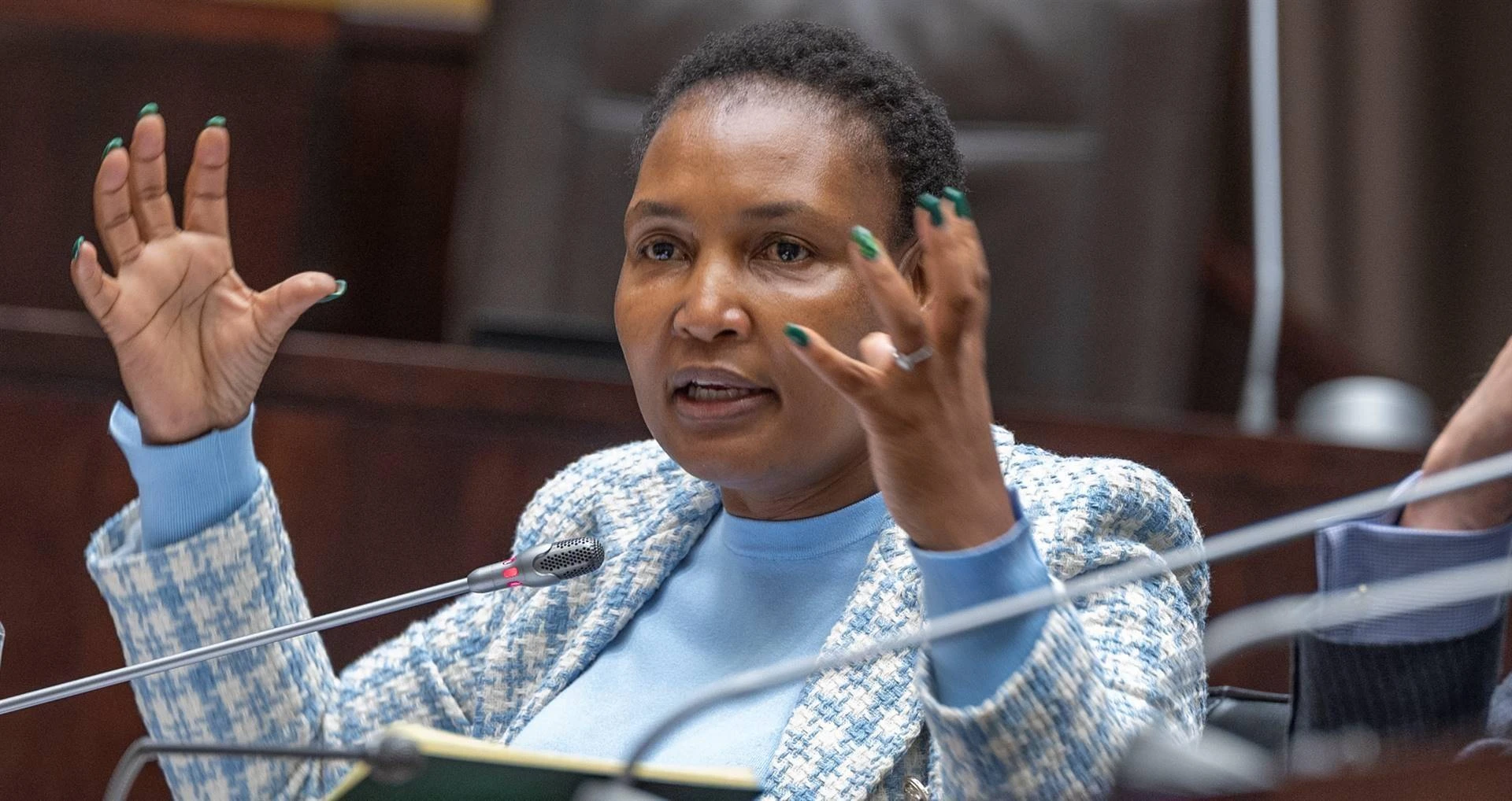 Sy word verhoor ‘sonder aanklagte’, kap Simelane na DA in begrotingsdebat