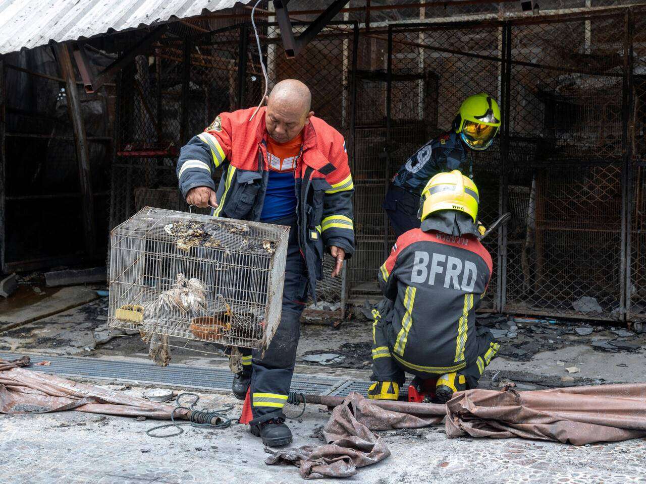 1 000 diere dood in brand by opelugmark in Bangkok