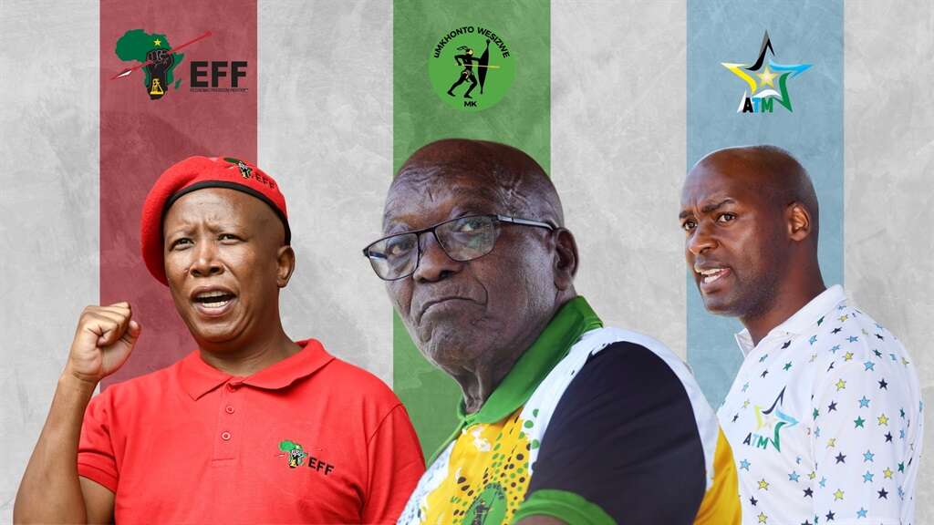 Battle between EFF and MK Party will further weaken already fragile 'progressive caucus' - analysts