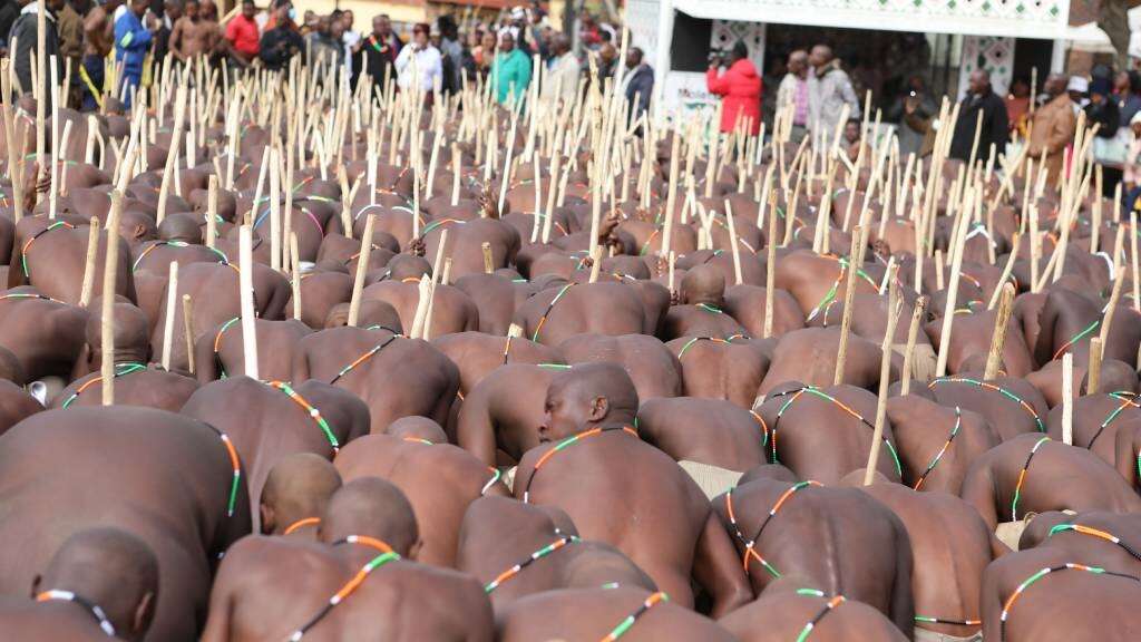 89 boys rescued this season: Families recall trauma after illegal initiation school kidnappings