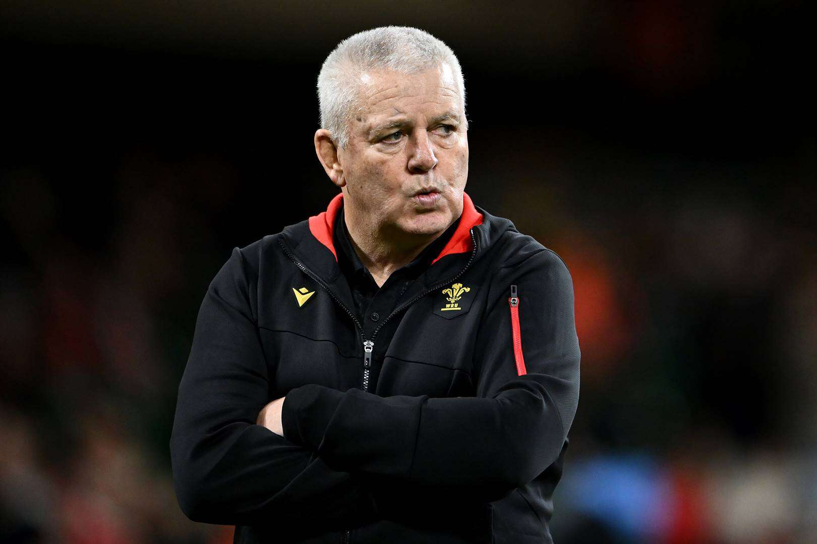 Gatland oor sy einde as Wallis se afrigter: ‘Ek voel seergemaak’