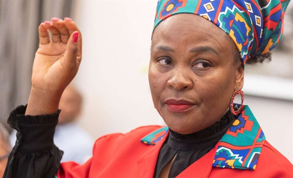 Mkhwebane's racial remarks draw attention of SAHRC, while EFF's Thambo defends her