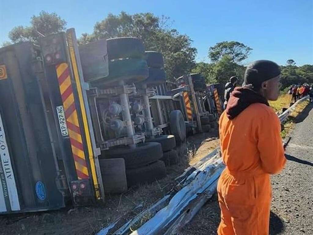 Eastern Cape truck crash: Motorists stop to loot sheep, about 400 put down