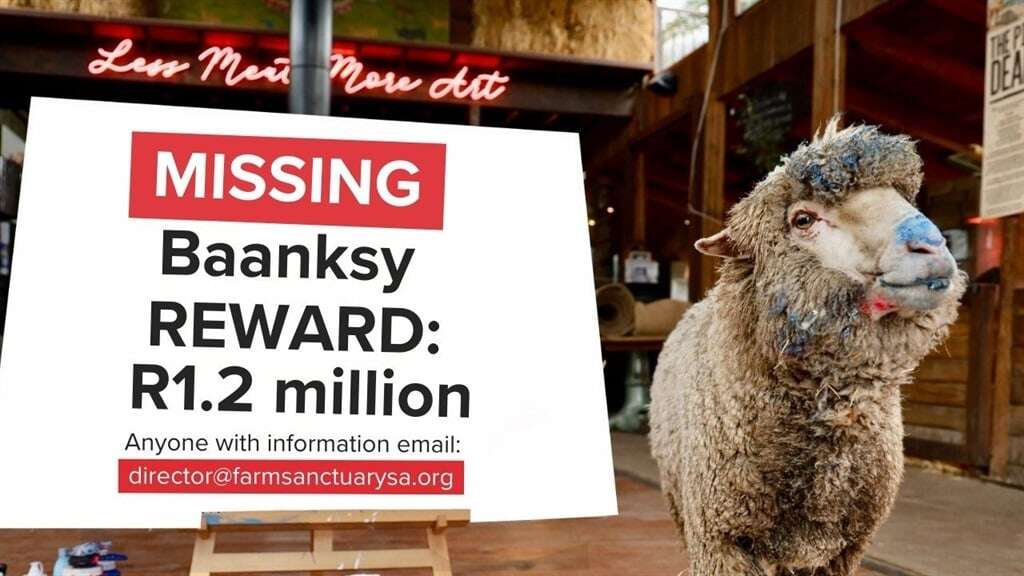 Private investigators following 'substantial leads' in disappearance of Baanksy, the painting sheep