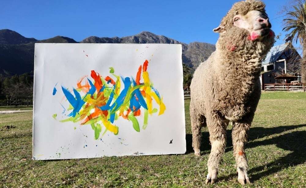 WATCH | Mystery surrounds disappearance of Baanksy the painting sheep – R1.2m reward offered