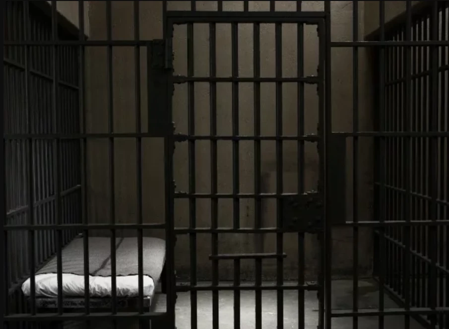 Former Elias Motsoaledi Municipality employee jailed for defrauding SARS of R1.7m