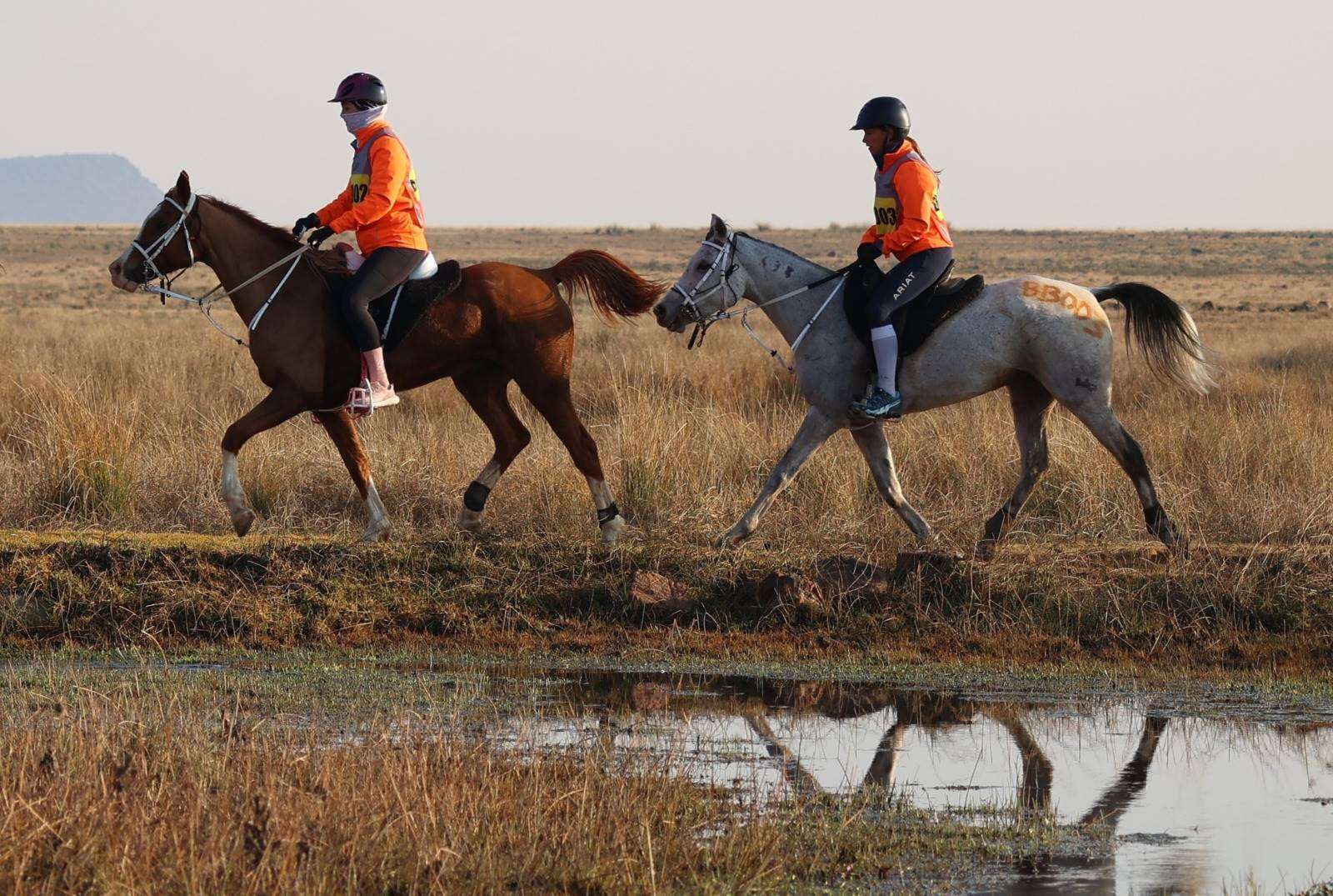 Fauresmith-uithourit besondere ervaring vir Franse ruiters