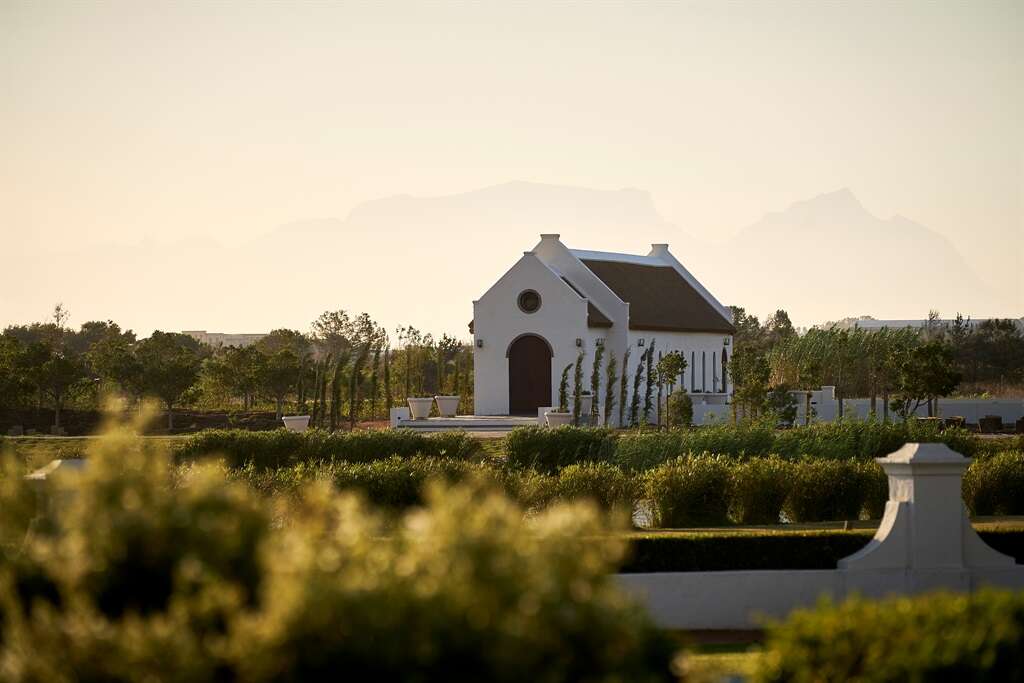 SEE | Inside Stellenbosch's Vergenoegd Löw: 2024's premier luxury honeymoon hideaway