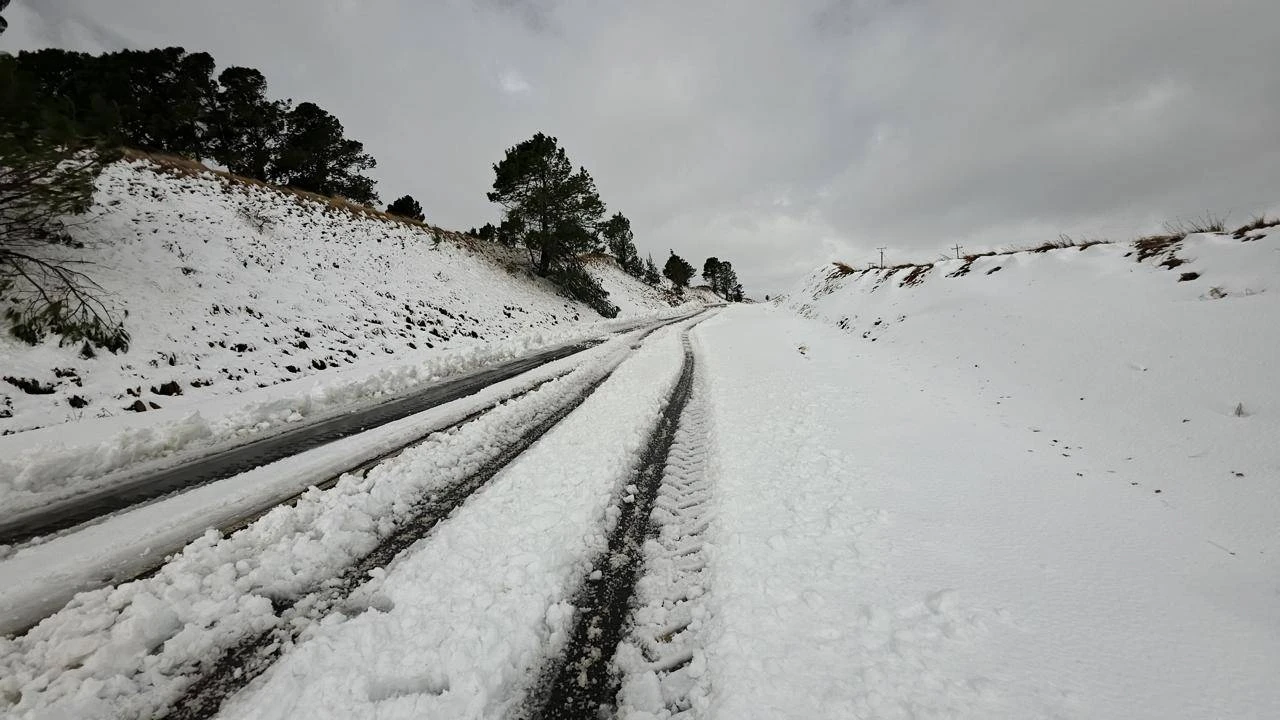‘Wêreldklas rampbestuur’ om KZN se sneeukombers te takel, sê LUR