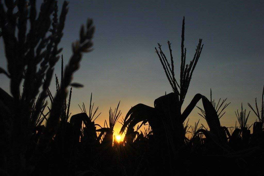 Vrystaat se veiligheidsberaad vir landbou moet tot aksie lei, sê VL