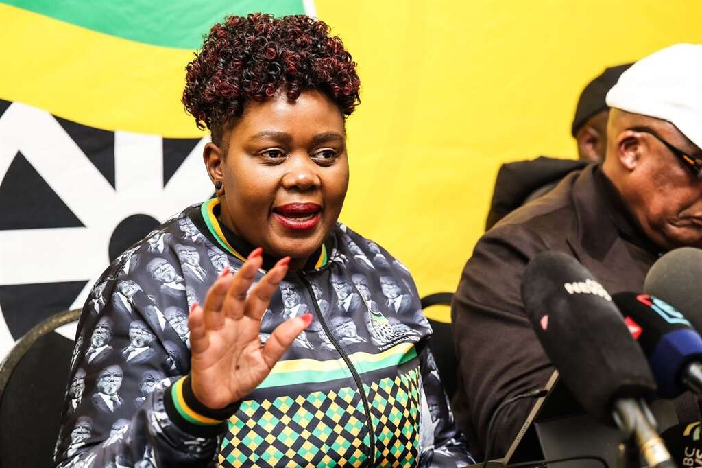 Basic Income Grant announcement was not an election gimmick, says ANC