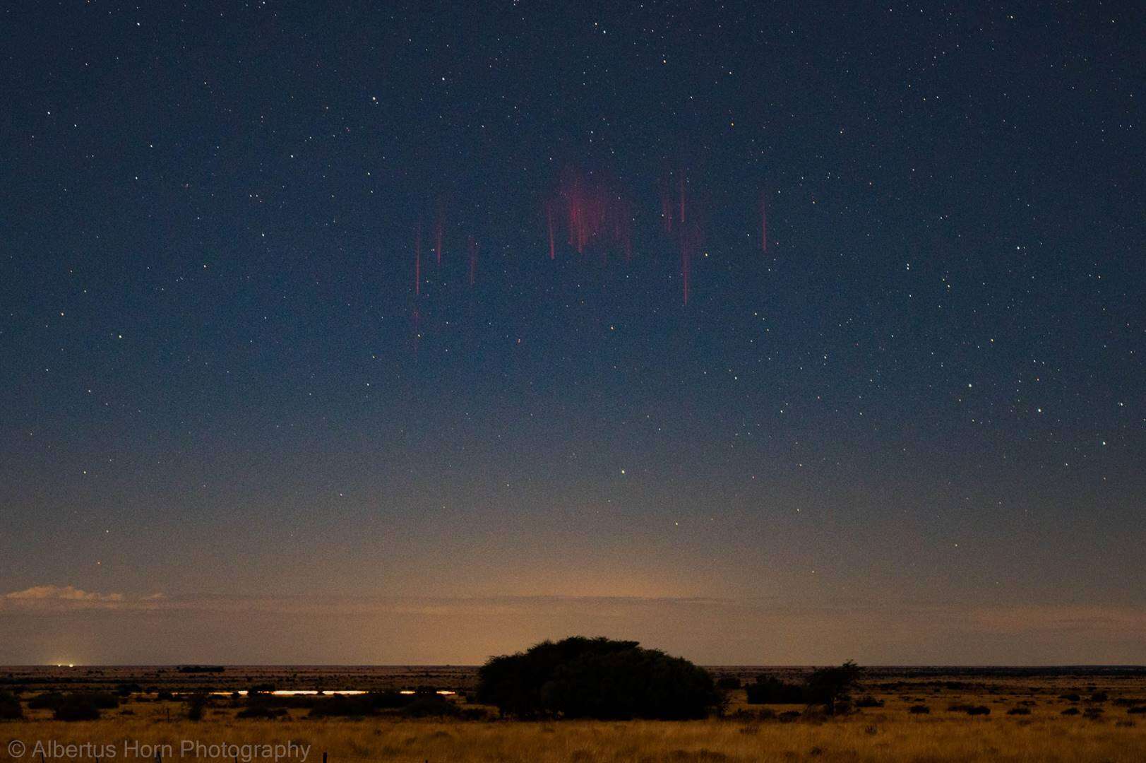 Fotograaf se droom verwesenlik toe hy rare ‘rooi spriete’ in naglug bo N-Kaap vasvang