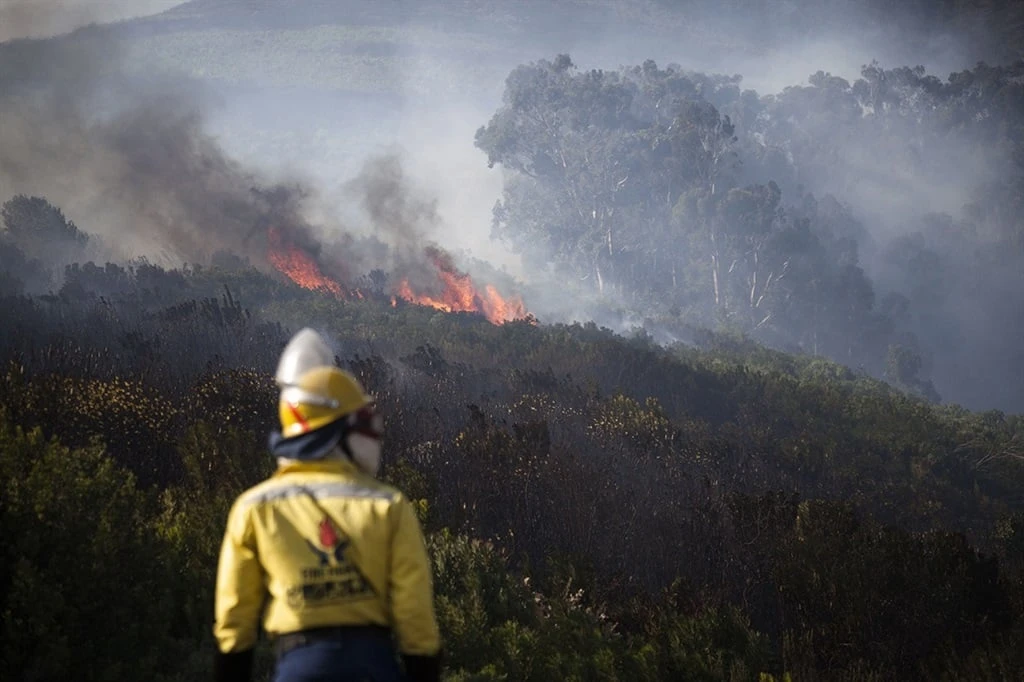 SANParks suspects arson in massive Cape Town wildfire, R10 000 reward offered