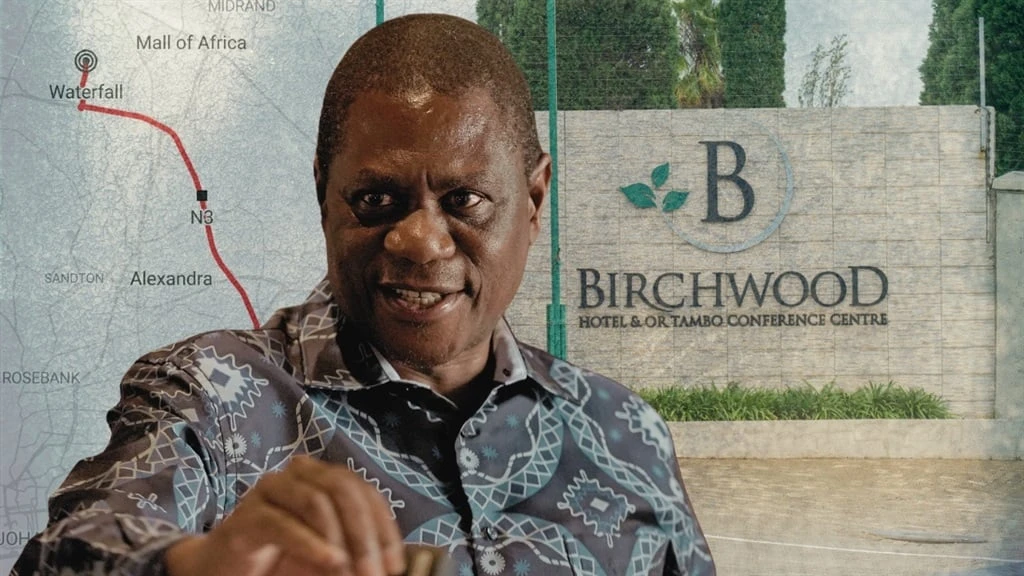 Stray shotgun blast not aimed at Paul Mashatile, SAPS ballistics report finds