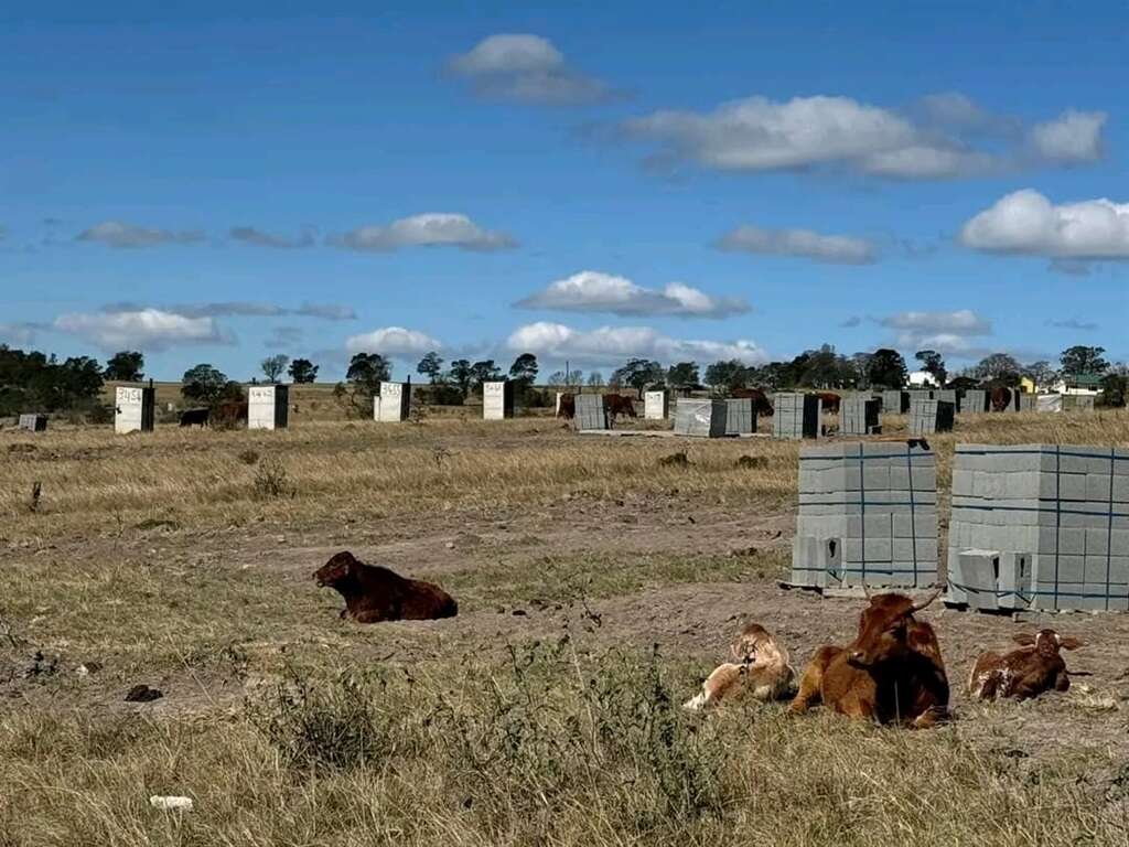 Eastern Cape government blames weather, locating beneficiaries for delayed housing project