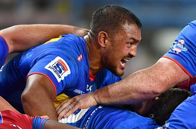 Big future predicted for Stormers lock duo: 'They come in the mould of Bakkies and Victor'