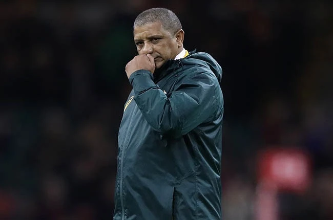 Former Bok mentor Allister Coetzee appointed head coach of Namibia