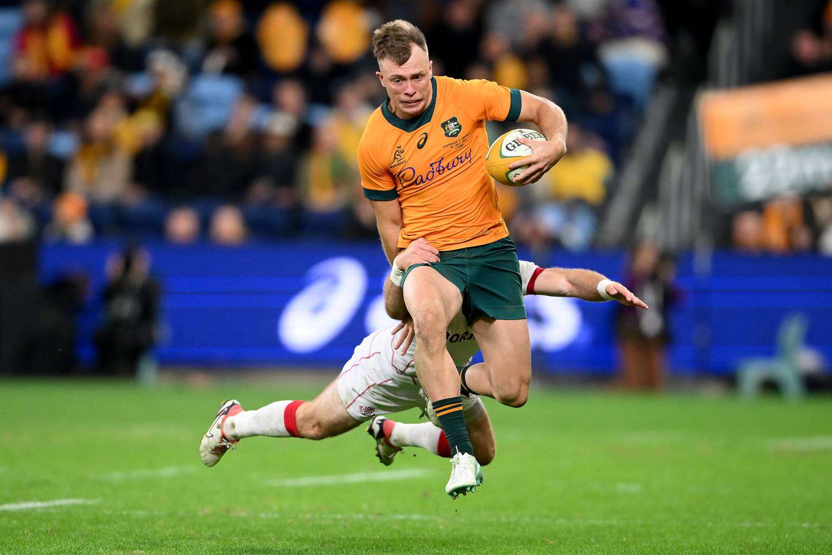 Wallabies kry taai teenstand van moedige Georgië