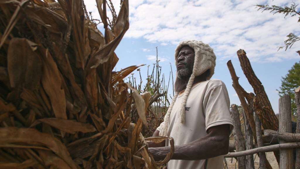 'Most of us have no food in our homes': Drought leaves Zimbabwe starving, desperate to survive