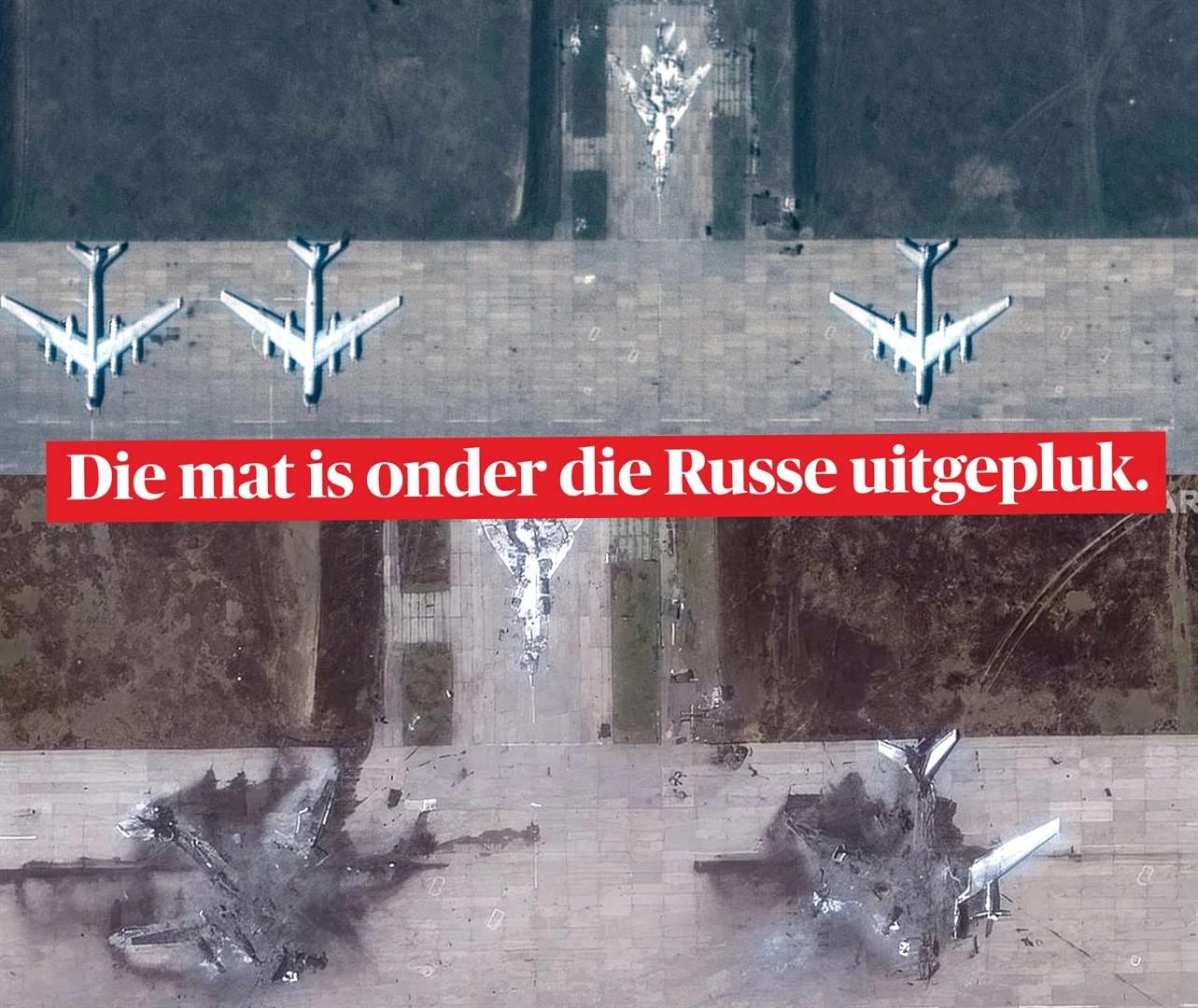 Hommeltuig-set: ’n Briljante (en goedkoop) bloedneus vir die Russiese Beer