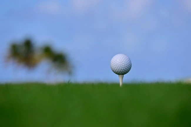 Kim A-Lim storms to US Women's Open crown