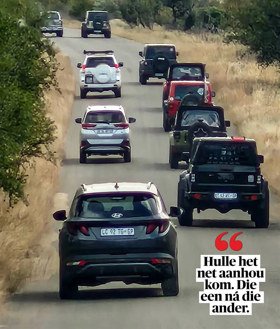 Bos-bende neem Kruger op horings met brullende Jeeps: ‘Hulle is padvarke’