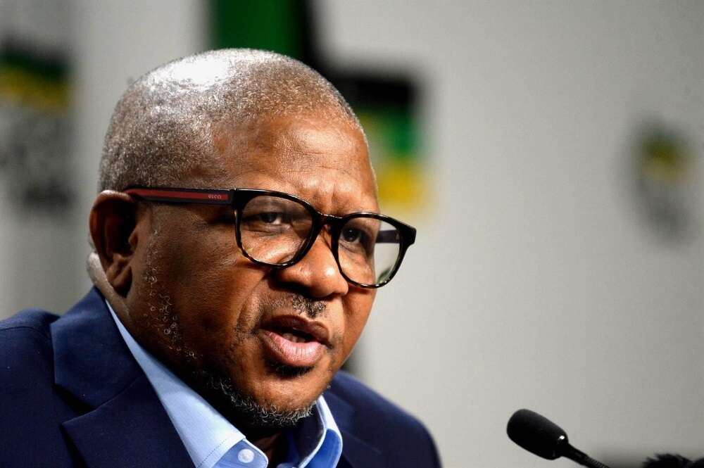 New Tshwane coalition must serve ANC and residents, says Mbalula