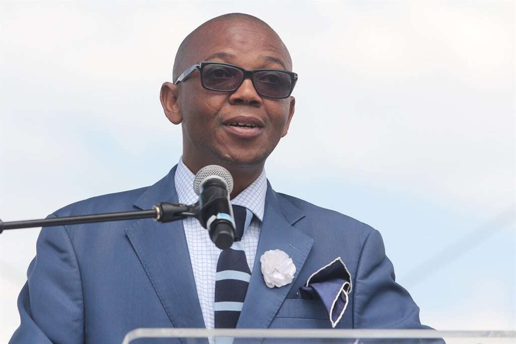 Former police deputy minister Bongani Mkongi quits ANC, announces search for new political home