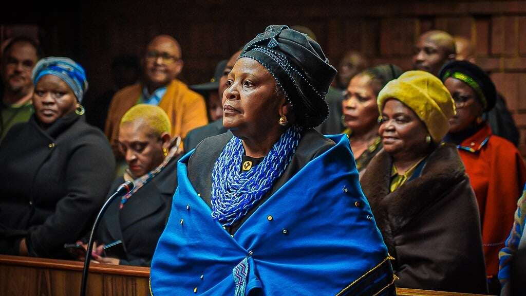 Why Mapisa-Nqakula wants the entire police docket in the corruption case against her