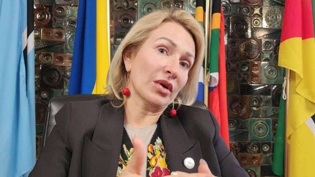 SA proactive on Palestine but not on Ukraine, says Ukrainian ambassador