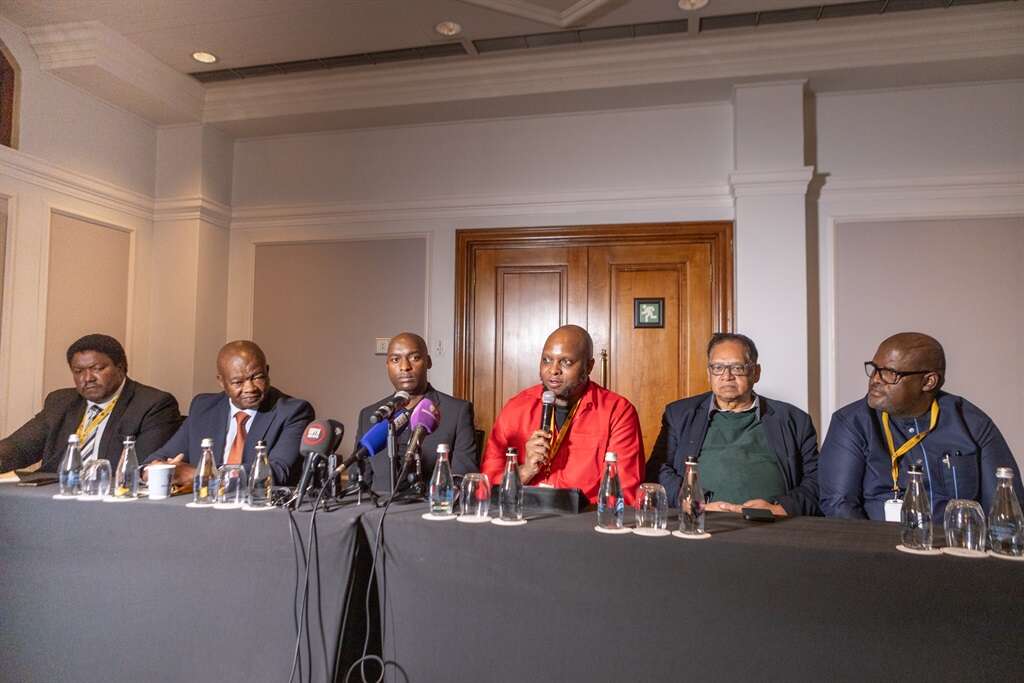 Mcebisi Ndletyana | Flash in the pan: Why the progressive caucus will not last