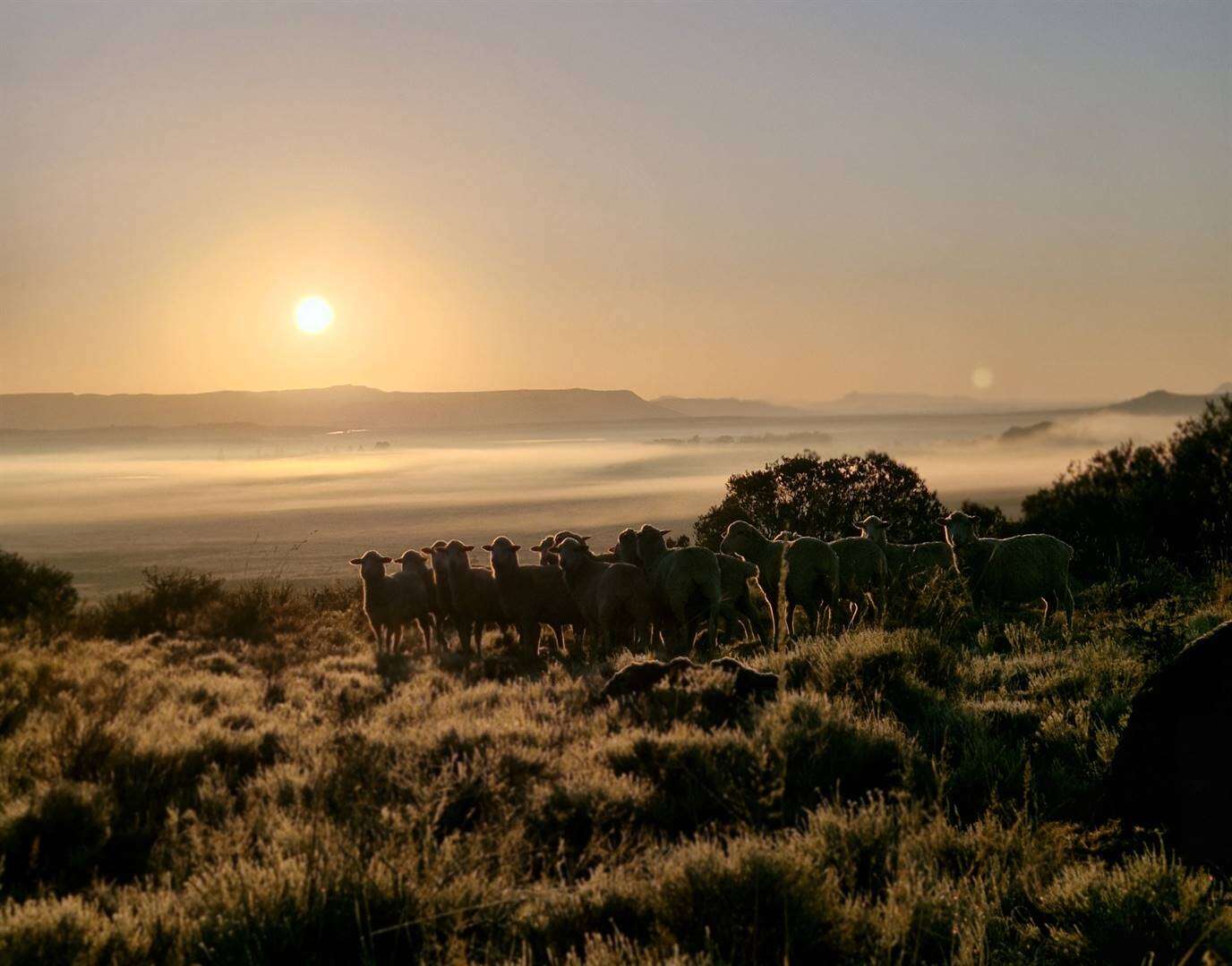 Hoë brandgevaar Vrydag en Sondag in Noord-Kaap verwag